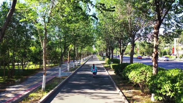 玛纳斯生态概况