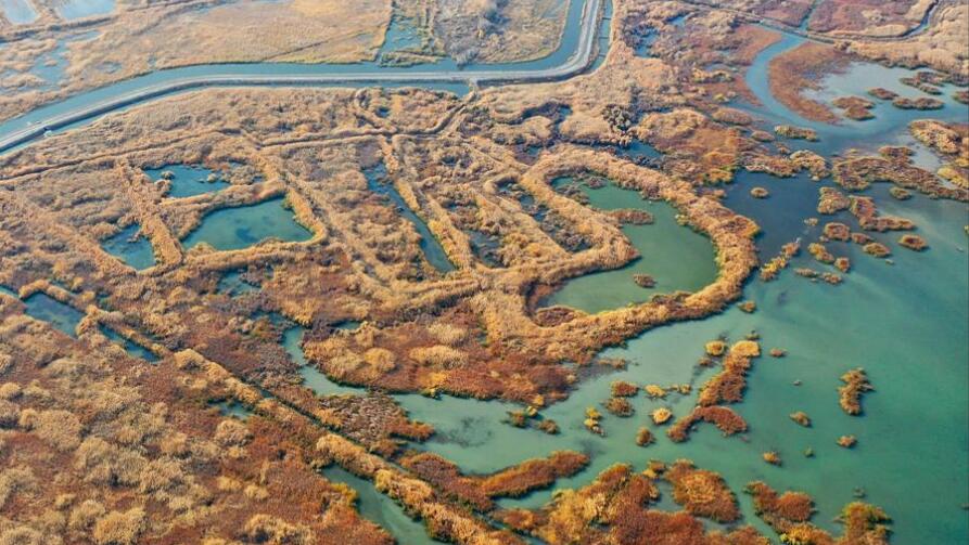 湿地公园景观